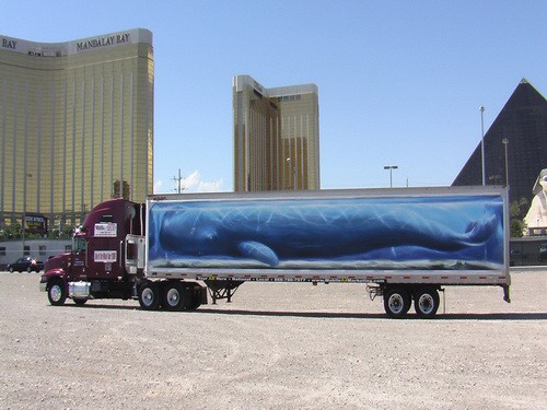 Whale Truck